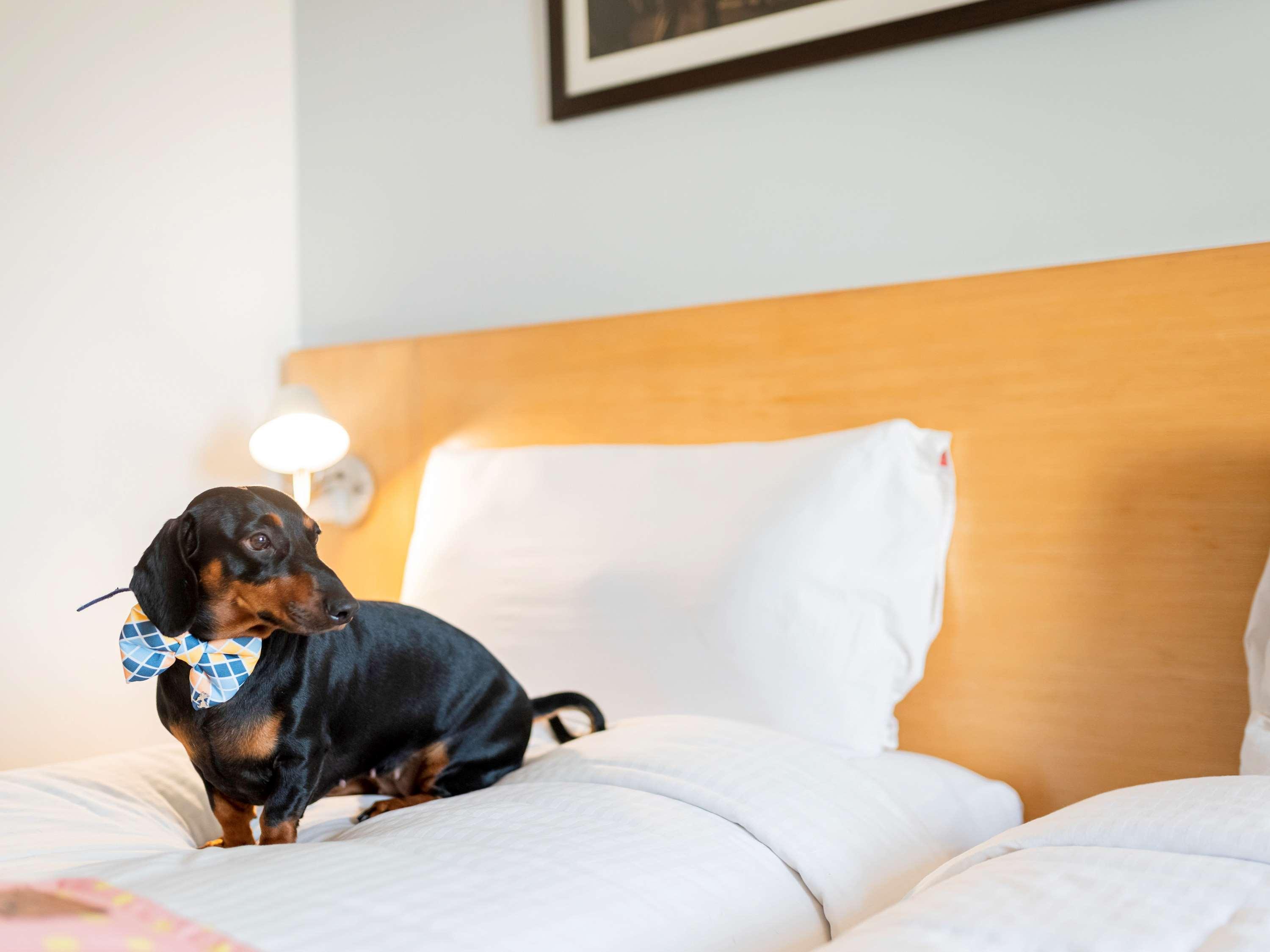 Ibis Bengaluru City Centre - An Accor Brand Экстерьер фото